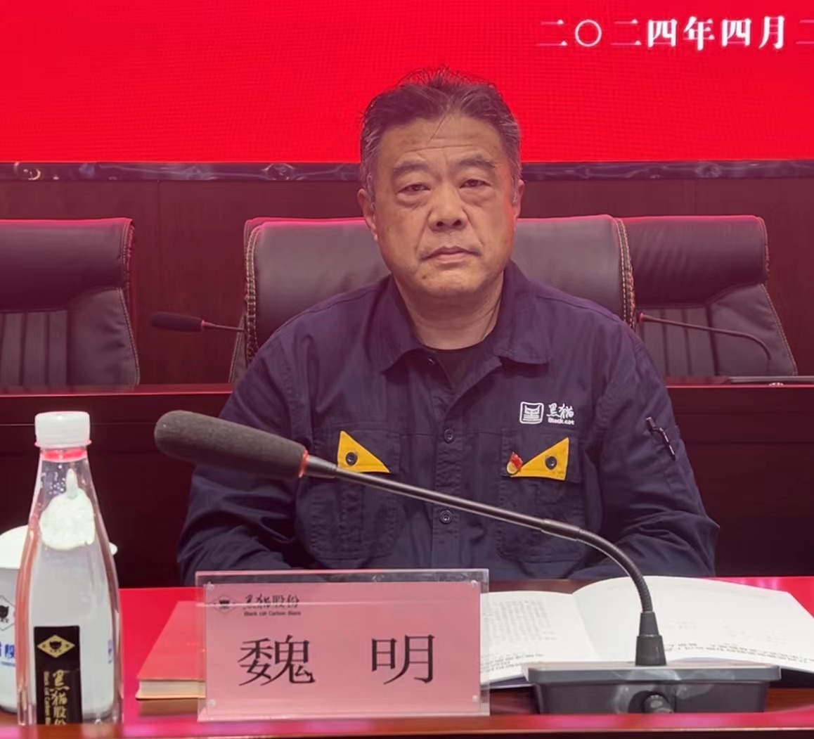 4 黑貓股份黨委副書記、董事長魏明出席會議.jpg